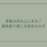 骨盤は足の上にある？腸骨筋で感じる安定のカギ
